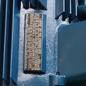 Motor con certificación ATEX (personalizado)