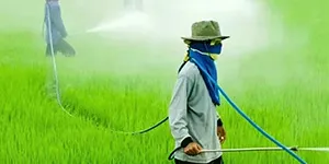 Plaguicidas y fertilizantes